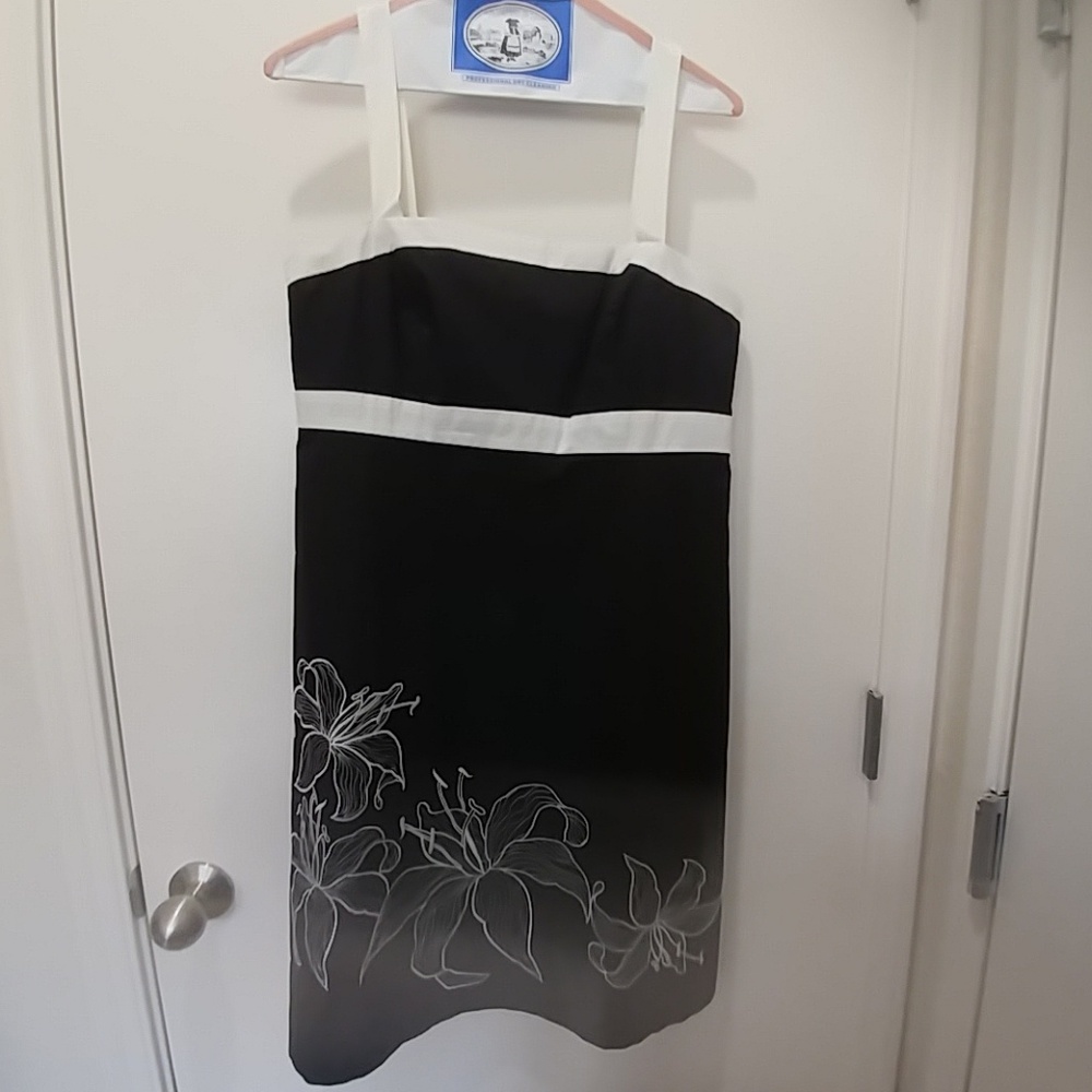 Cute Ann Taylor Dress